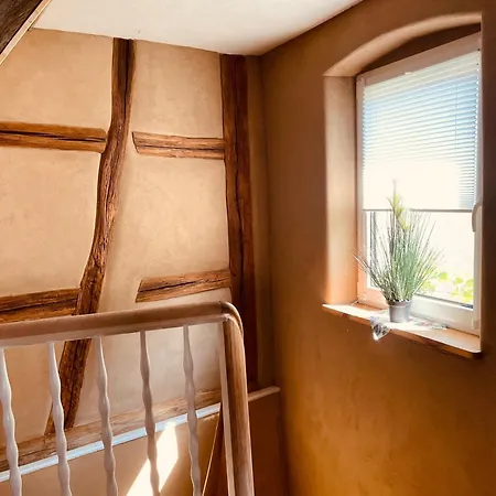 Secra Exclusive 44 *