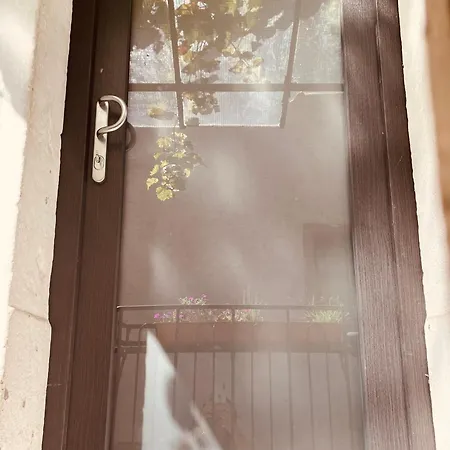 Secra Exclusive 44 Burrweiler