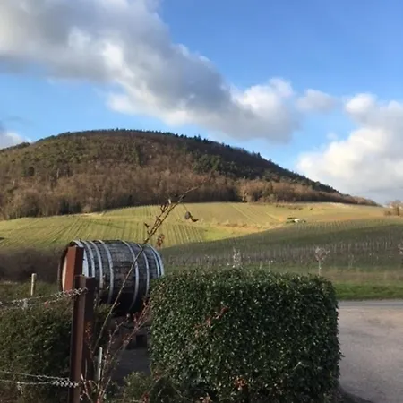 Secra Exclusive 44 公寓 *