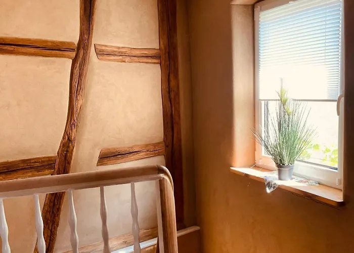 Secra Exclusive 44 *