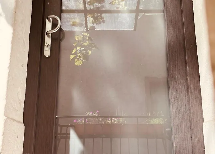 Secra Exclusive 44 ブルルヴァイラー