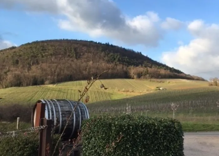 Secra Exclusive 44 Apartament *